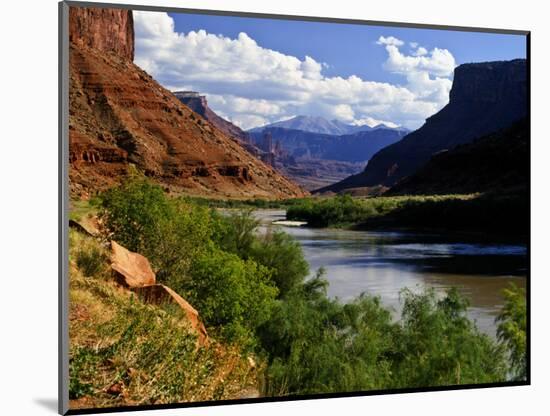 River Valley With View of Fisher Towers and La Sal Mountains, Utah, USA-Bernard Friel-Mounted Photographic Print