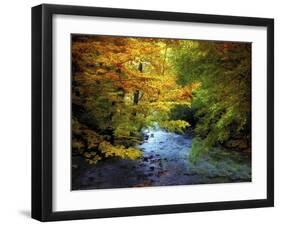 River View-Jessica Jenney-Framed Giclee Print