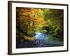 River View-Jessica Jenney-Framed Giclee Print