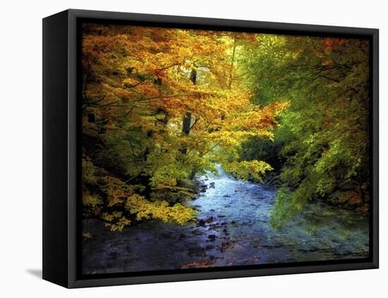 River View-Jessica Jenney-Framed Stretched Canvas