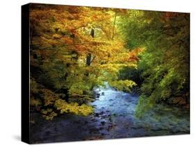 River View-Jessica Jenney-Stretched Canvas