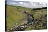 River Wear, North of England Lead Mining Museum, Killhope, Weardale, Durham-Peter Thompson-Stretched Canvas