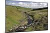 River Wear, North of England Lead Mining Museum, Killhope, Weardale, Durham-Peter Thompson-Mounted Photographic Print