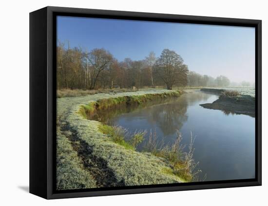 River Wey at Thundery Meadows, Surrey Wildlife Trust's Wetland Reserve, Elstead, Surrey, England-Pearl Bucknall-Framed Stretched Canvas