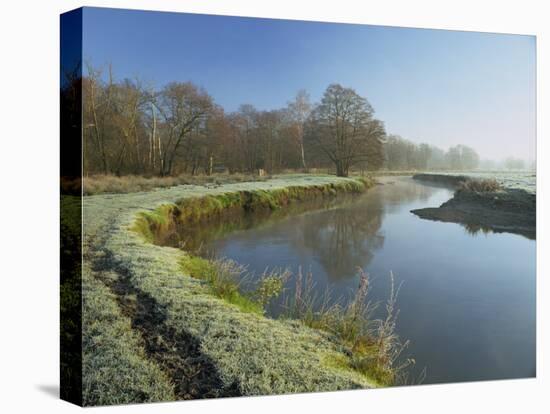 River Wey at Thundery Meadows, Surrey Wildlife Trust's Wetland Reserve, Elstead, Surrey, England-Pearl Bucknall-Stretched Canvas