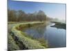 River Wey at Thundery Meadows, Surrey Wildlife Trust's Wetland Reserve, Elstead, Surrey, England-Pearl Bucknall-Mounted Photographic Print