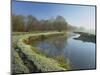 River Wey at Thundery Meadows, Surrey Wildlife Trust's Wetland Reserve, Elstead, Surrey, England-Pearl Bucknall-Mounted Photographic Print