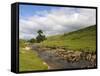 River Wharfe, Upper Wharfedale, Yorkshire Dales National Park, North Yorkshire, England, UK-White Gary-Framed Stretched Canvas