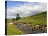 River Wharfe, Upper Wharfedale, Yorkshire Dales National Park, North Yorkshire, England, UK-White Gary-Stretched Canvas