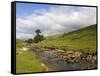 River Wharfe, Upper Wharfedale, Yorkshire Dales National Park, North Yorkshire, England, UK-White Gary-Framed Stretched Canvas