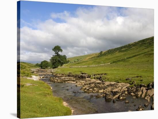 River Wharfe, Upper Wharfedale, Yorkshire Dales National Park, North Yorkshire, England, UK-White Gary-Stretched Canvas