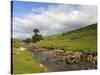 River Wharfe, Upper Wharfedale, Yorkshire Dales National Park, North Yorkshire, England, UK-White Gary-Stretched Canvas