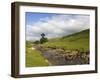 River Wharfe, Upper Wharfedale, Yorkshire Dales National Park, North Yorkshire, England, UK-White Gary-Framed Photographic Print