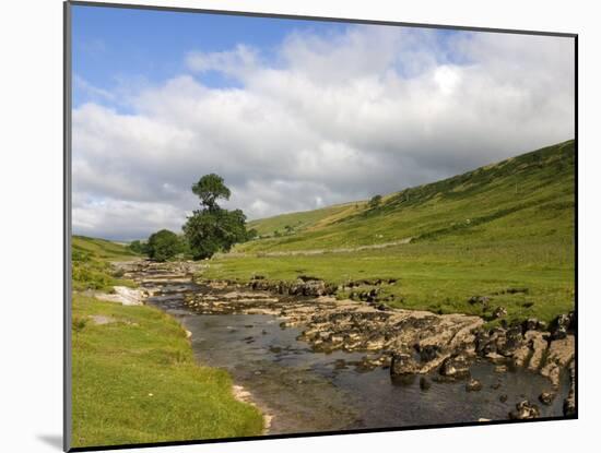River Wharfe, Upper Wharfedale, Yorkshire Dales National Park, North Yorkshire, England, UK-White Gary-Mounted Photographic Print