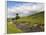 River Wharfe, Upper Wharfedale, Yorkshire Dales National Park, North Yorkshire, England, UK-White Gary-Framed Photographic Print