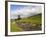 River Wharfe, Upper Wharfedale, Yorkshire Dales National Park, North Yorkshire, England, UK-White Gary-Framed Photographic Print