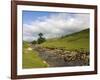 River Wharfe, Upper Wharfedale, Yorkshire Dales National Park, North Yorkshire, England, UK-White Gary-Framed Photographic Print