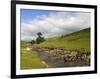 River Wharfe, Upper Wharfedale, Yorkshire Dales National Park, North Yorkshire, England, UK-White Gary-Framed Photographic Print