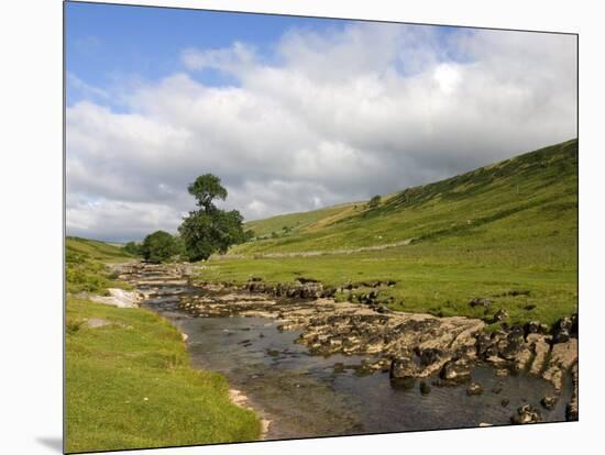 River Wharfe, Upper Wharfedale, Yorkshire Dales National Park, North Yorkshire, England, UK-White Gary-Mounted Photographic Print