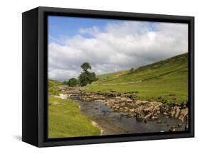 River Wharfe, Upper Wharfedale, Yorkshire Dales National Park, North Yorkshire, England, UK-White Gary-Framed Stretched Canvas