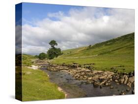 River Wharfe, Upper Wharfedale, Yorkshire Dales National Park, North Yorkshire, England, UK-White Gary-Stretched Canvas
