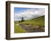 River Wharfe, Upper Wharfedale, Yorkshire Dales National Park, North Yorkshire, England, UK-White Gary-Framed Photographic Print