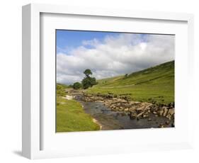 River Wharfe, Upper Wharfedale, Yorkshire Dales National Park, North Yorkshire, England, UK-White Gary-Framed Photographic Print