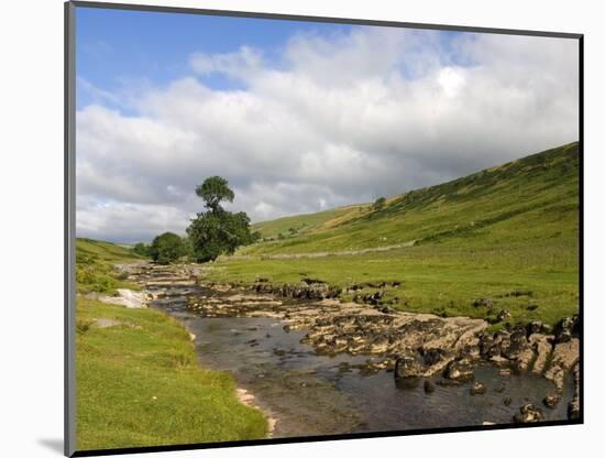 River Wharfe, Upper Wharfedale, Yorkshire Dales National Park, North Yorkshire, England, UK-White Gary-Mounted Photographic Print