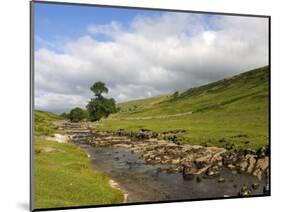 River Wharfe, Upper Wharfedale, Yorkshire Dales National Park, North Yorkshire, England, UK-White Gary-Mounted Photographic Print