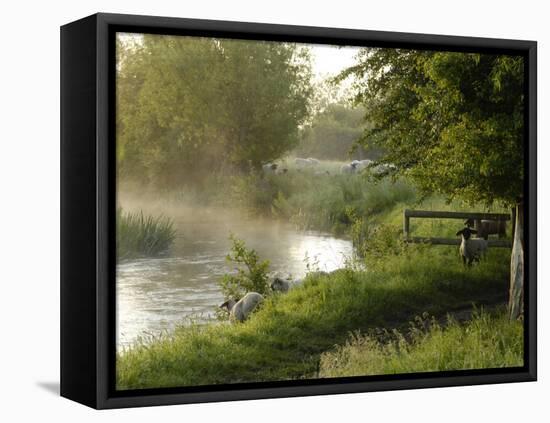 River Windrush Near Burford, Oxfordshire, the Cotswolds, England, United Kingdom, Europe-Rob Cousins-Framed Stretched Canvas