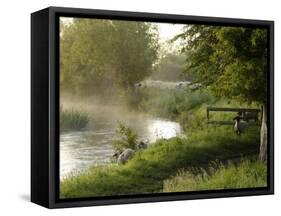 River Windrush Near Burford, Oxfordshire, the Cotswolds, England, United Kingdom, Europe-Rob Cousins-Framed Stretched Canvas