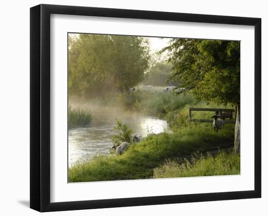 River Windrush Near Burford, Oxfordshire, the Cotswolds, England, United Kingdom, Europe-Rob Cousins-Framed Photographic Print