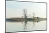 River with Tree Reflected in the Delta of the Volga River, Russia-Vadim Petrakov-Mounted Photographic Print