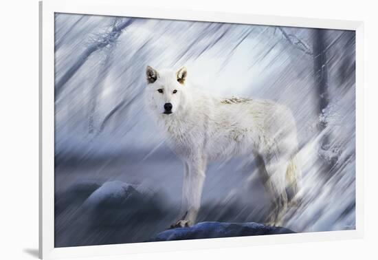 River Wolf II-Gordon Semmens-Framed Giclee Print