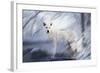 River Wolf II-Gordon Semmens-Framed Giclee Print