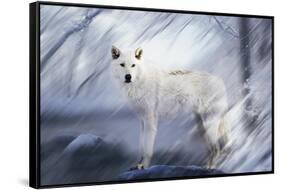 River Wolf II-Gordon Semmens-Framed Stretched Canvas