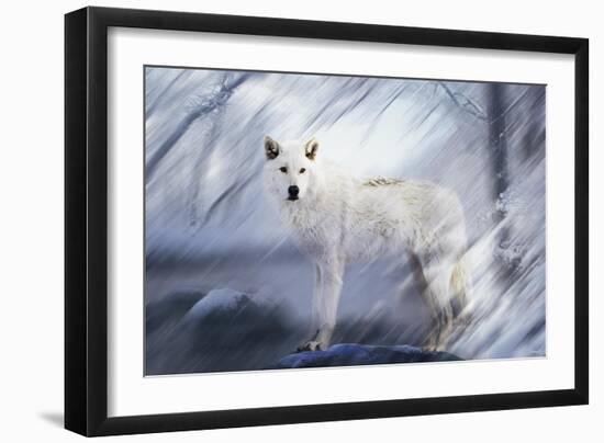 River Wolf II-Gordon Semmens-Framed Giclee Print