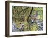 River Wye, 2008-Andrew Macara-Framed Giclee Print