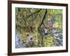 River Wye, 2008-Andrew Macara-Framed Giclee Print