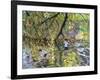 River Wye, 2008-Andrew Macara-Framed Giclee Print