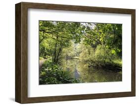 River Wye Lined by Trees in Spring Leaf with Riverside Track, Reflections in Calm Water-Eleanor Scriven-Framed Photographic Print
