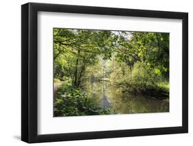 River Wye Lined by Trees in Spring Leaf with Riverside Track, Reflections in Calm Water-Eleanor Scriven-Framed Photographic Print
