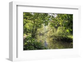 River Wye Lined by Trees in Spring Leaf with Riverside Track, Reflections in Calm Water-Eleanor Scriven-Framed Photographic Print