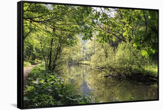 River Wye Lined by Trees in Spring Leaf with Riverside Track, Reflections in Calm Water-Eleanor Scriven-Framed Stretched Canvas