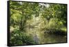 River Wye Lined by Trees in Spring Leaf with Riverside Track, Reflections in Calm Water-Eleanor Scriven-Framed Stretched Canvas