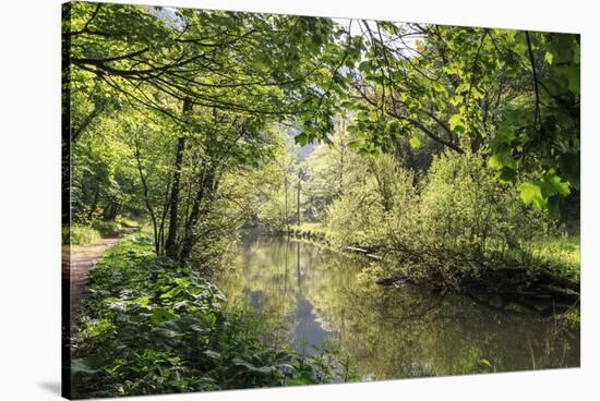 River Wye Lined by Trees in Spring Leaf with Riverside Track, Reflections in Calm Water-Eleanor Scriven-Stretched Canvas