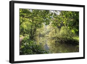 River Wye Lined by Trees in Spring Leaf with Riverside Track, Reflections in Calm Water-Eleanor Scriven-Framed Photographic Print