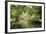 River Wye Lined by Trees in Spring Leaf with Riverside Track, Reflections in Calm Water-Eleanor Scriven-Framed Photographic Print