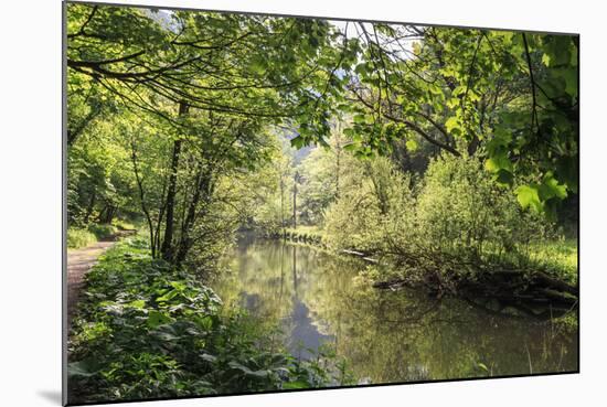 River Wye Lined by Trees in Spring Leaf with Riverside Track, Reflections in Calm Water-Eleanor Scriven-Mounted Photographic Print