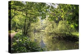 River Wye Lined by Trees in Spring Leaf with Riverside Track, Reflections in Calm Water-Eleanor Scriven-Stretched Canvas